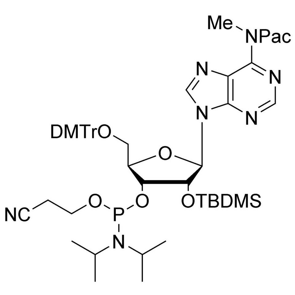 N6-Phenoxyacetamido-N6-methyl-A CE-Phosphoramidite, BULK (g), Glass Screw-Top